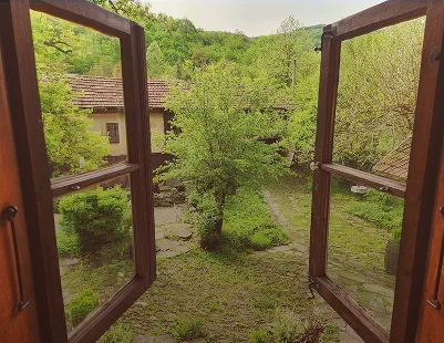 Mountain Room
